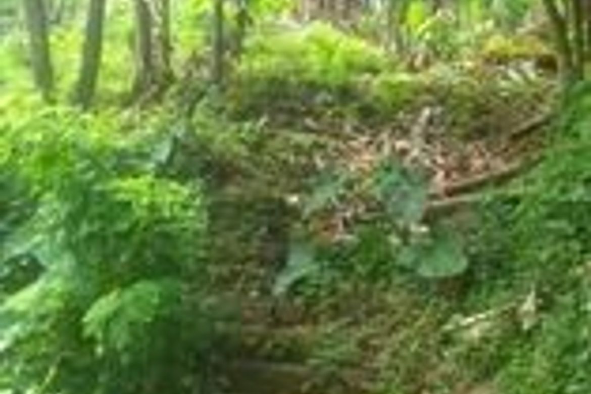 Land for Sale in Barangay II-B, San Pablo, Laguna – photo 2