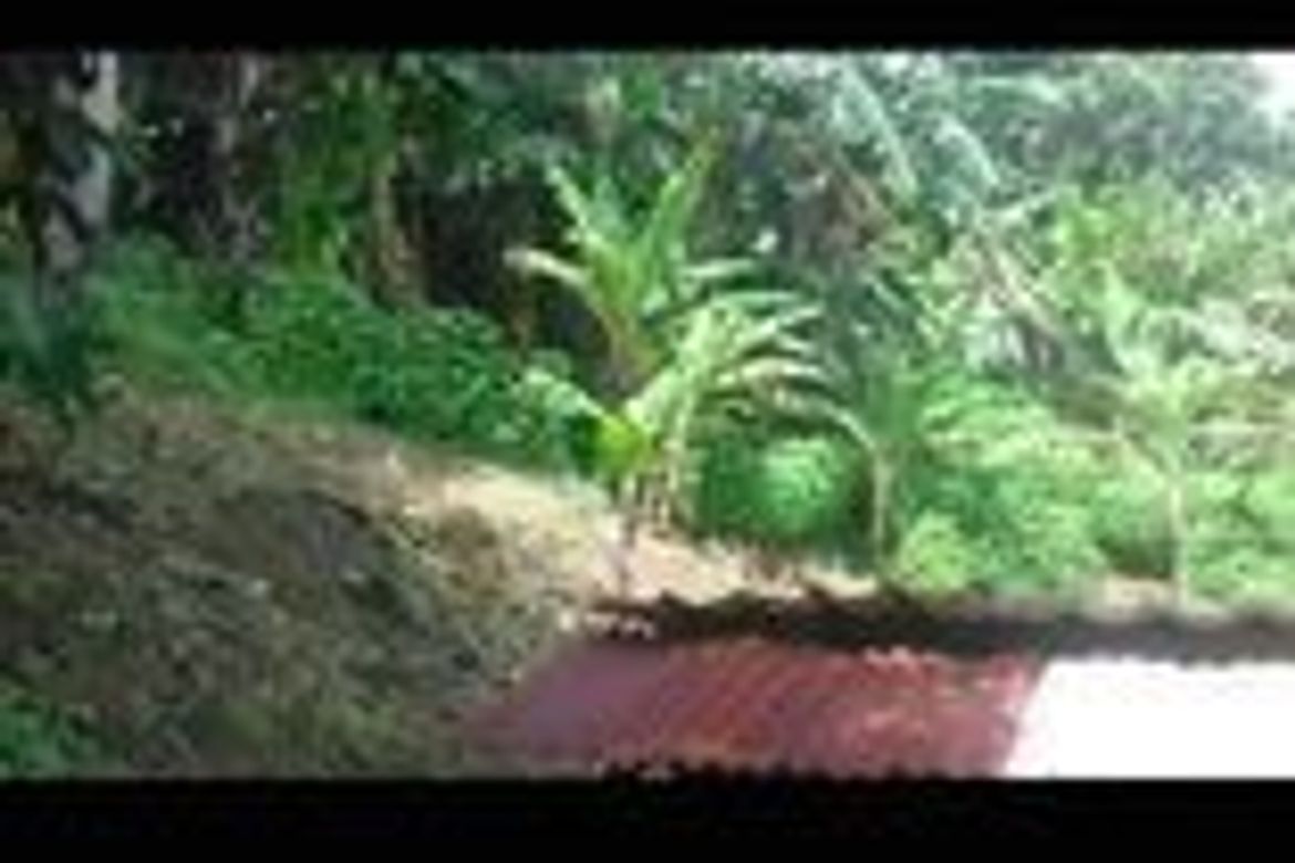 Land for Sale in Barangay II-B, San Pablo, Laguna – photo 3