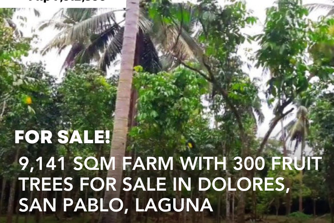 Land for Sale in Barangay II-C, San Pablo, Laguna