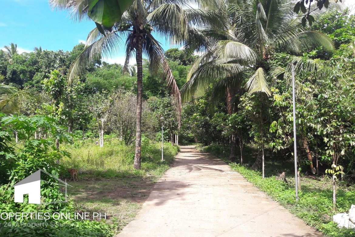 Land for Sale in Barangay II-C, San Pablo, Laguna – photo 2
