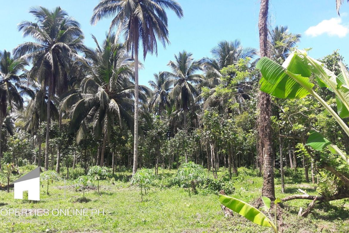 Land for Sale in Barangay II-C, San Pablo, Laguna – photo 3