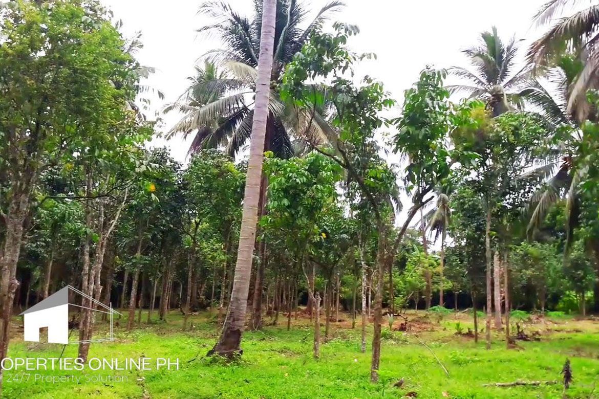 Land for Sale in Barangay II-C, San Pablo, Laguna – photo 4