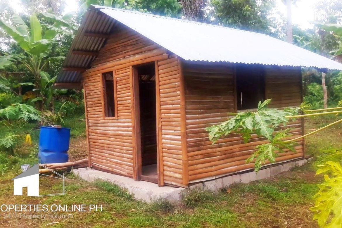 Land for Sale in Barangay II-C, San Pablo, Laguna – photo 6