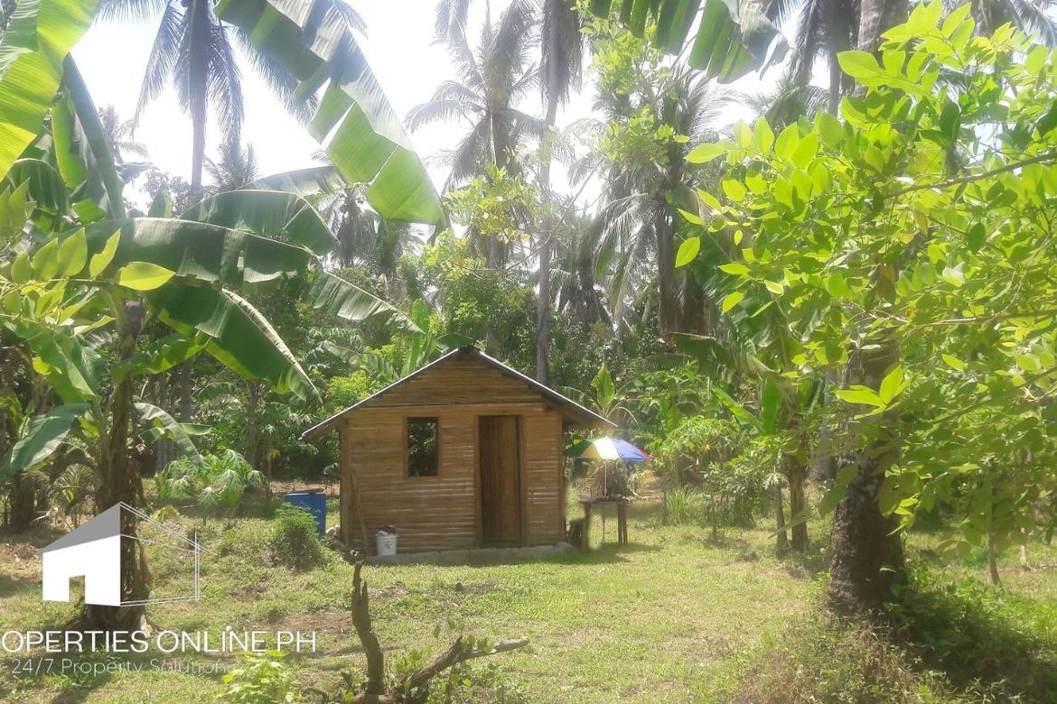 Land for Sale in Barangay II-C, San Pablo, Laguna – photo 7