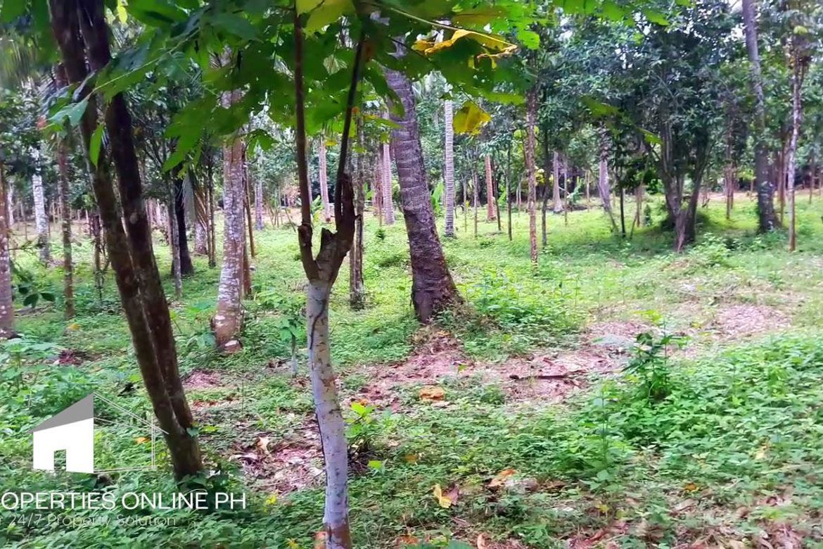 Land for Sale in Barangay II-C, San Pablo, Laguna – photo 8