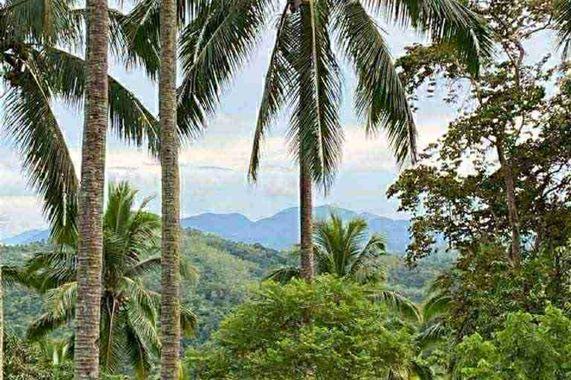 Land for Sale in Barangay II, Santa Maria, Laguna – photo 3