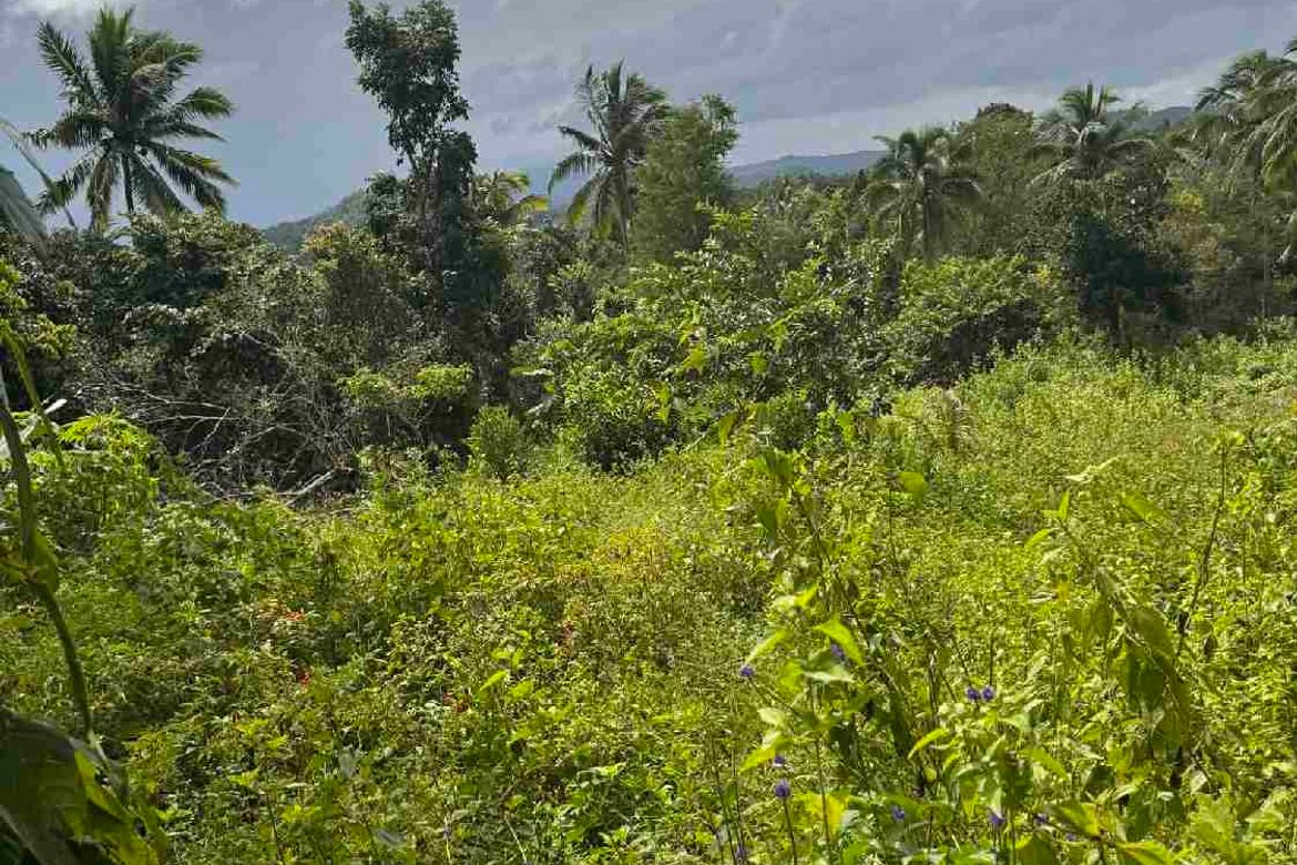 Land for Sale in Barangay II, Santa Maria, Laguna – photo 5