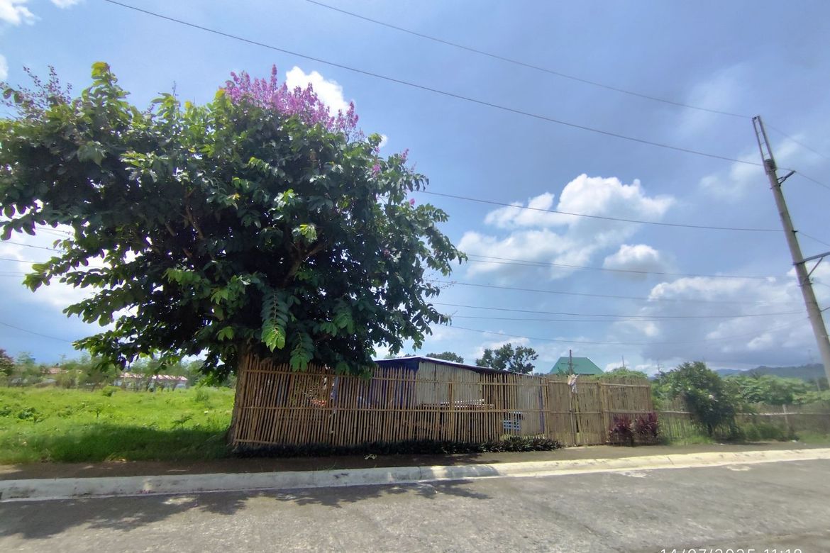 Land for Sale in Barangay III, Alaminos, Laguna