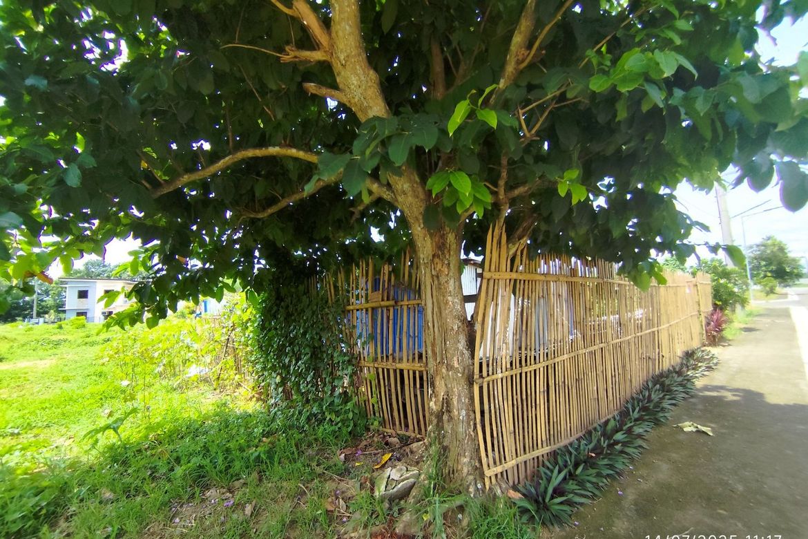 Land for Sale in Barangay III, Alaminos, Laguna – photo 4