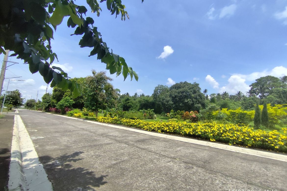 Land for Sale in Barangay III, Alaminos, Laguna – photo 6