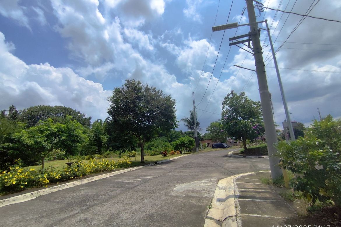 Land for Sale in Barangay III, Alaminos, Laguna – photo 8