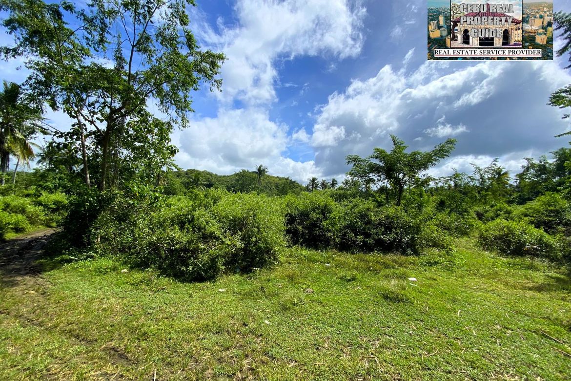 Land for Sale in Barangay III, Tuburan, Cebu – photo 4