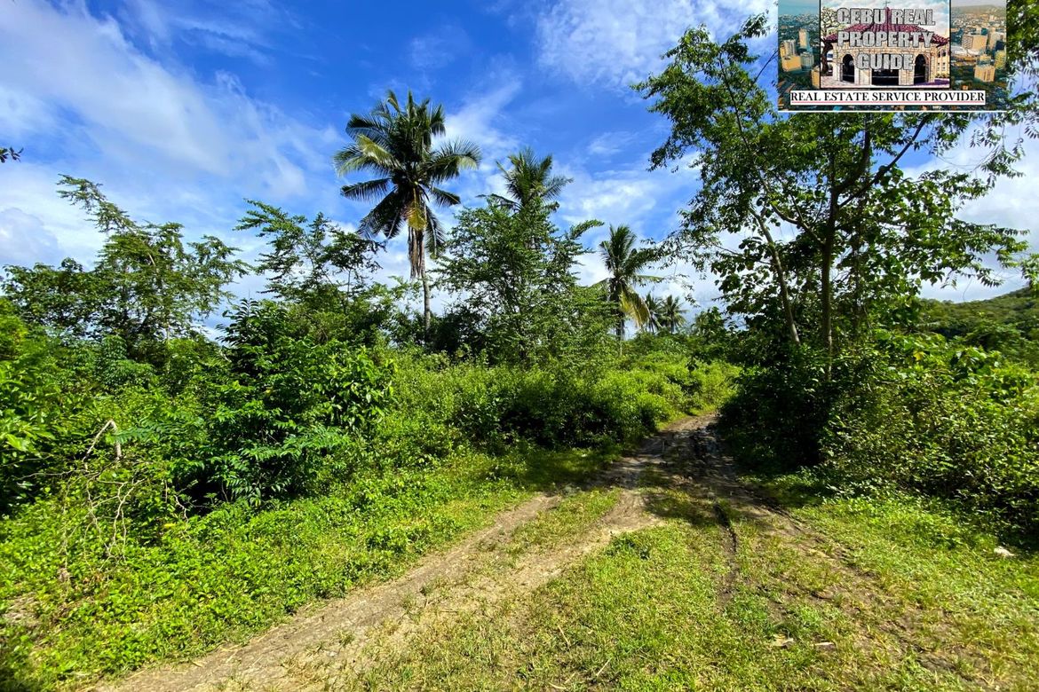 Land for Sale in Barangay III, Tuburan, Cebu – photo 5