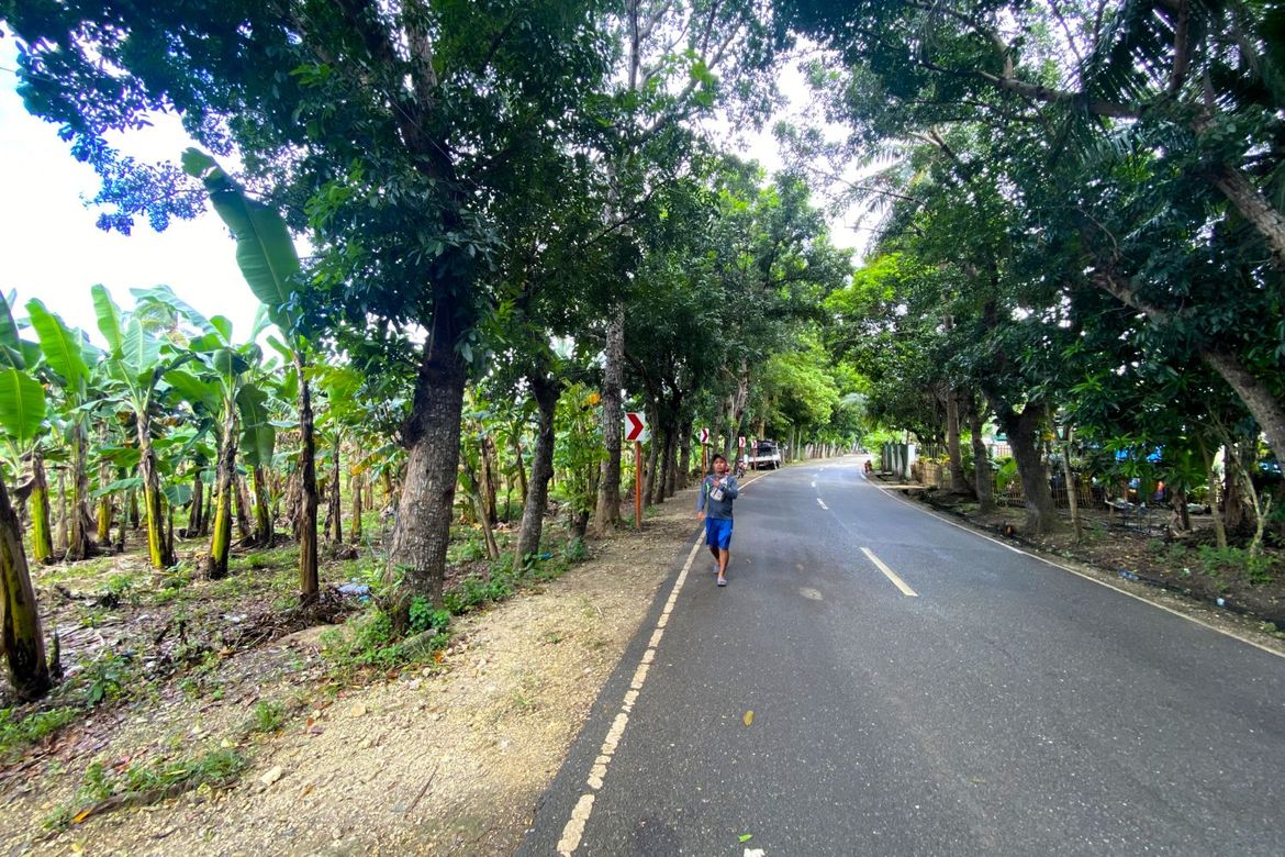 Land for Sale in Barangay III, Tuburan, Cebu – photo 7