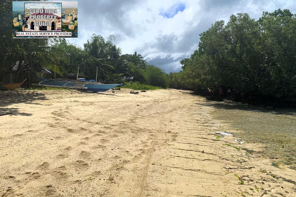 Land for Sale in Barangay III, Tuburan, Cebu – photo 8