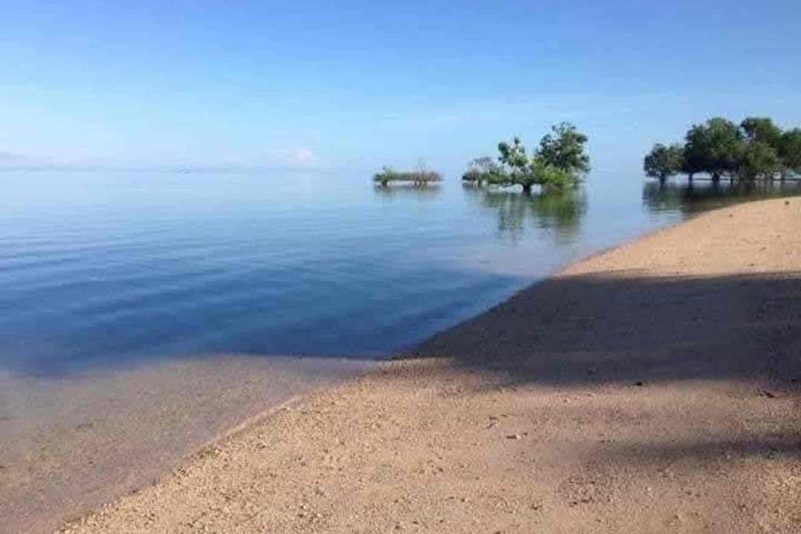 Land for Sale in Barangay III, Tuburan, Cebu