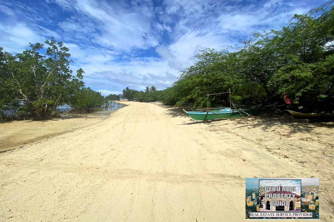Land for Sale in Barangay III, Tuburan, Cebu