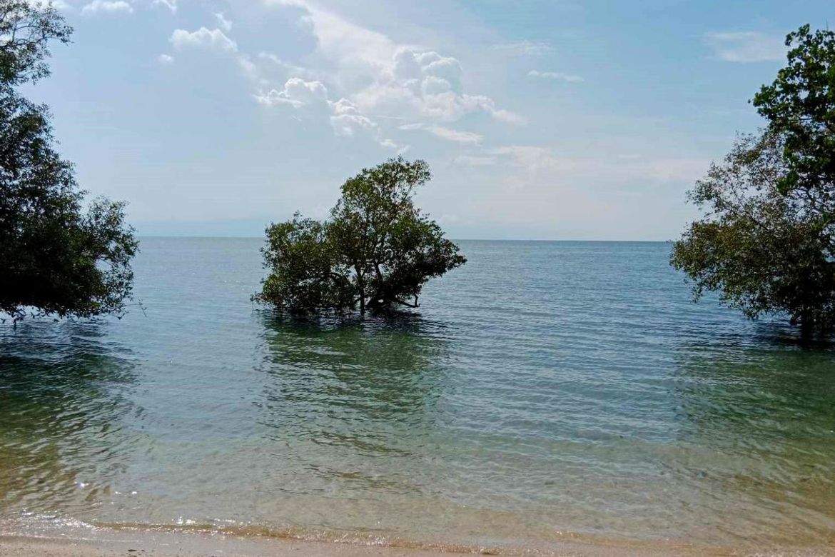 Land for Sale in Barangay III, Tuburan, Cebu – photo 2