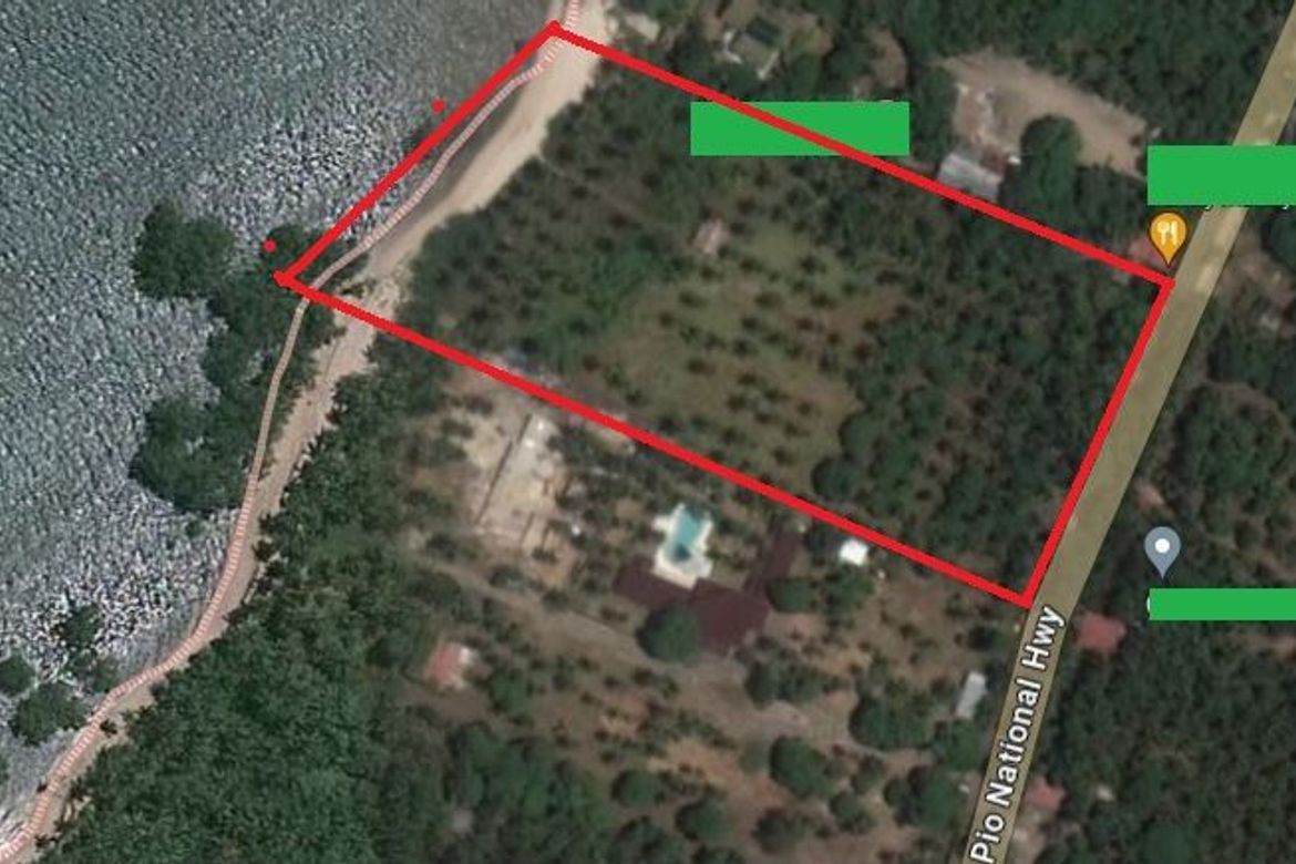 Land for Sale in Barangay III, Tuburan, Cebu – photo 3