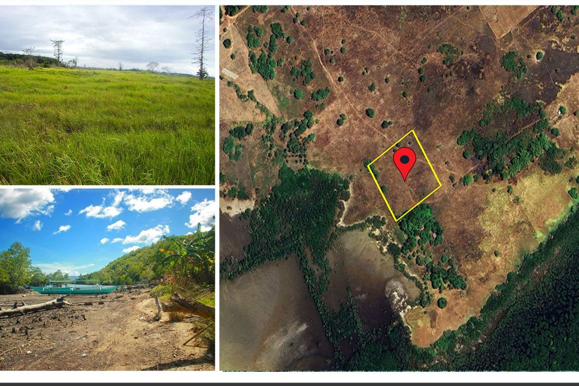 Land for Sale in Barangay Ng Mga Mangingisda, Puerto Princesa, Palawan