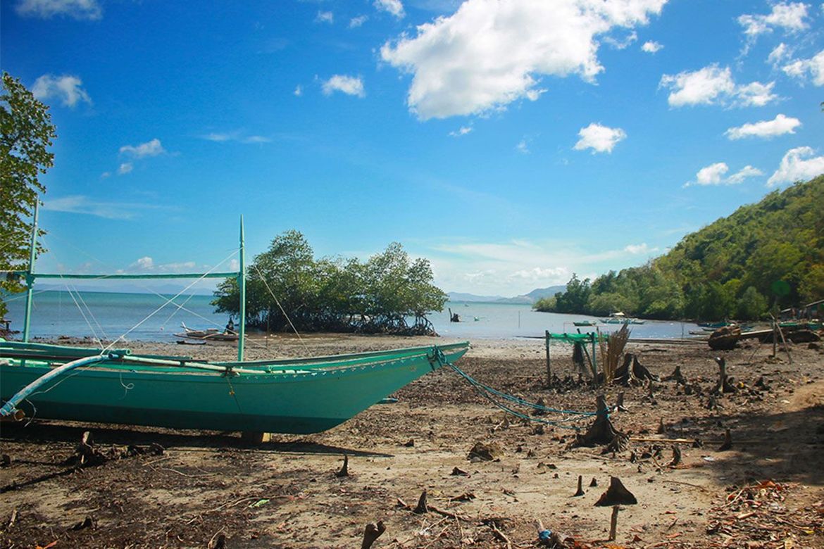Land for Sale in Barangay Ng Mga Mangingisda, Puerto Princesa, Palawan – photo 6