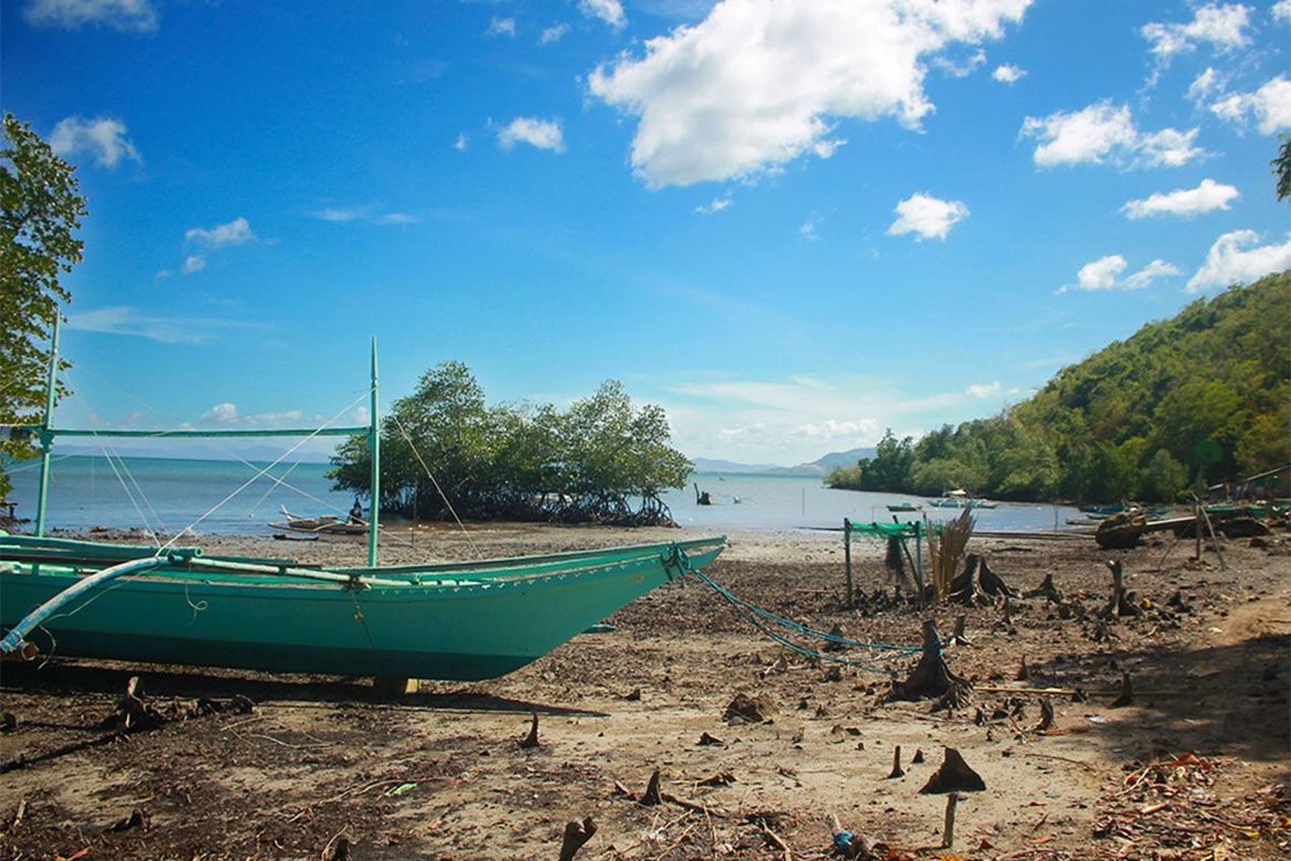 Land for Sale in Barangay Ng Mga Mangingisda, Puerto Princesa, Palawan – photo 7
