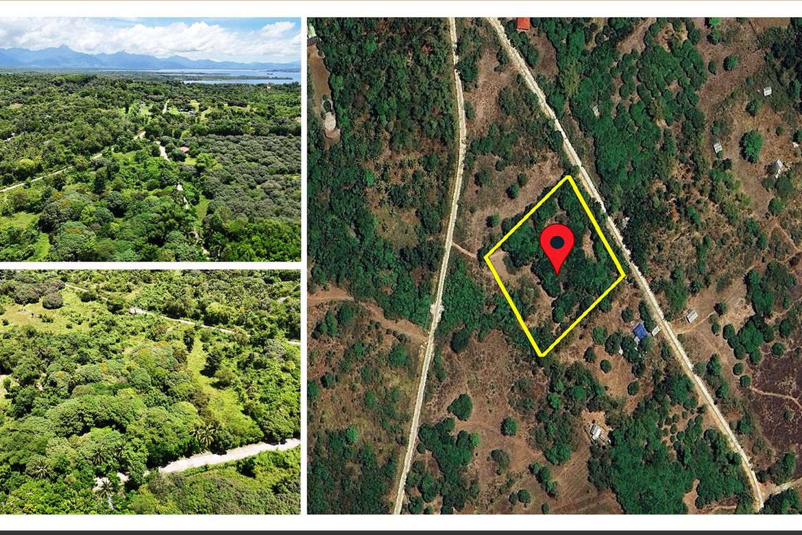 Land for Sale in Barangay Ng Mga Mangingisda, Puerto Princesa, Palawan