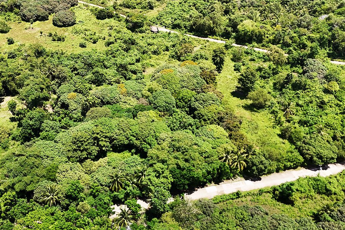 Land for Sale in Barangay Ng Mga Mangingisda, Puerto Princesa, Palawan – photo 3