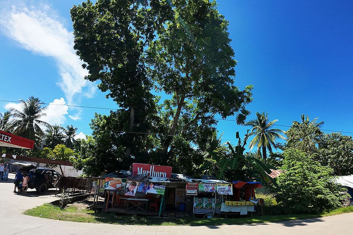 Land for Sale in Barangay Ng Mga Mangingisda, Puerto Princesa, Palawan – photo 2