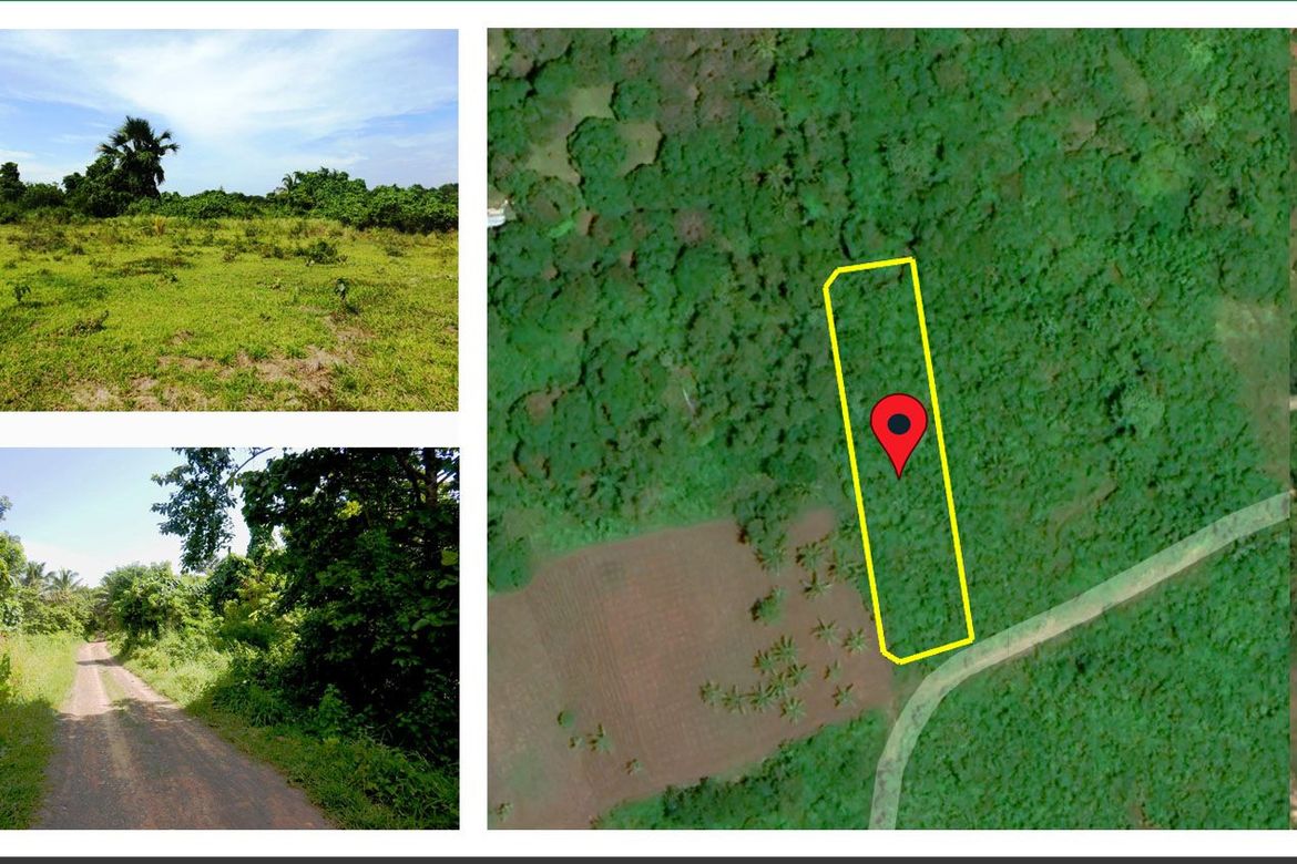 Land for Sale in Barangay Ng Mga Mangingisda, Puerto Princesa, Palawan