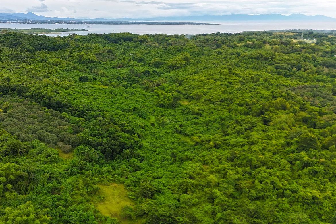 Land for Sale in Barangay Ng Mga Mangingisda, Puerto Princesa, Palawan – photo 2
