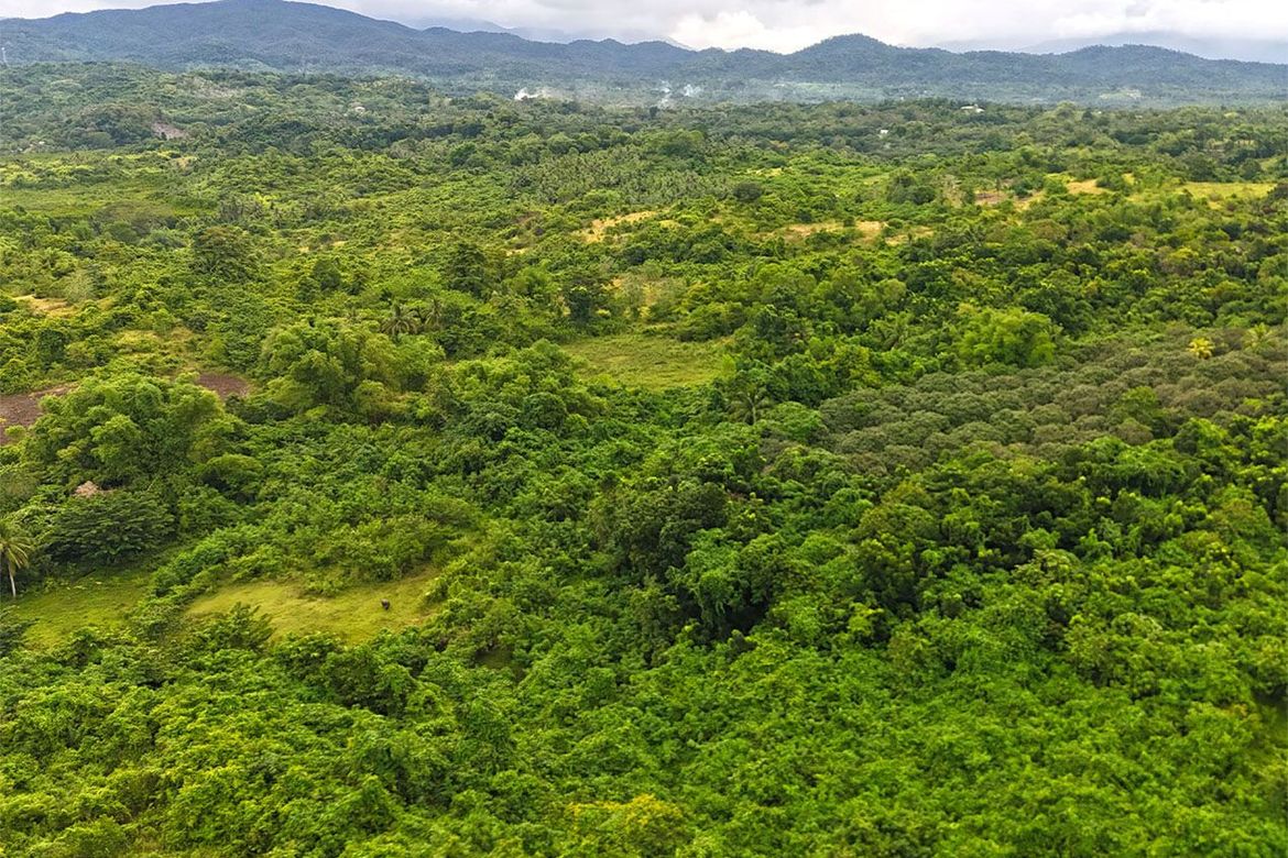 Land for Sale in Barangay Ng Mga Mangingisda, Puerto Princesa, Palawan – photo 3