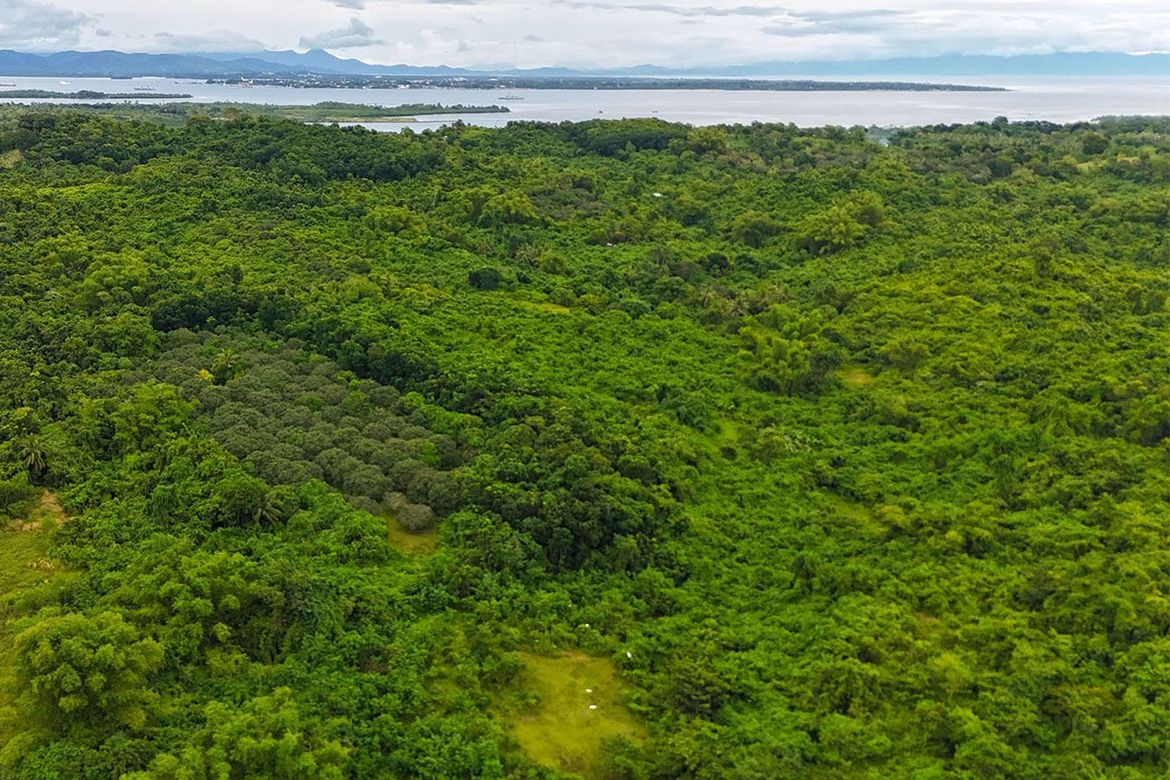 Land for Sale in Barangay Ng Mga Mangingisda, Puerto Princesa, Palawan – photo 4