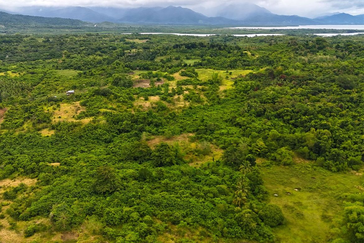 Land for Sale in Barangay Ng Mga Mangingisda, Puerto Princesa, Palawan – photo 6