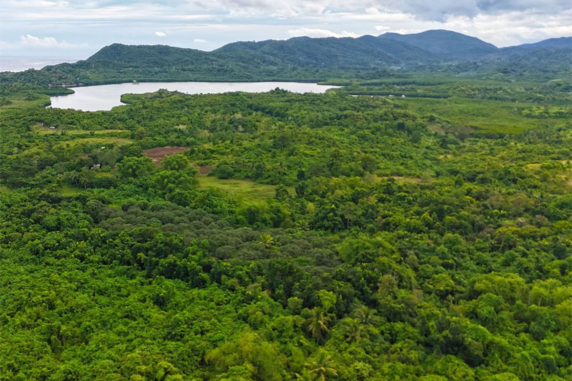 Land for Sale in Barangay Ng Mga Mangingisda, Puerto Princesa, Palawan – photo 7