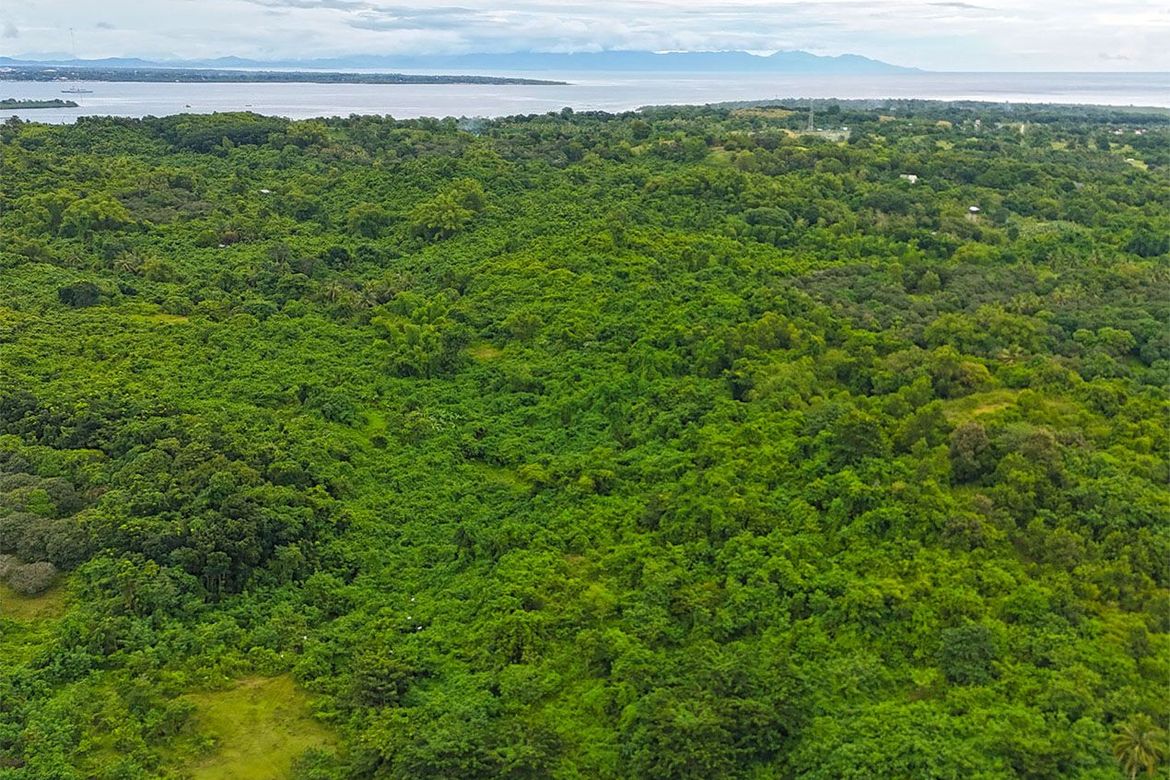 Land for Sale in Barangay Ng Mga Mangingisda, Puerto Princesa, Palawan – photo 8
