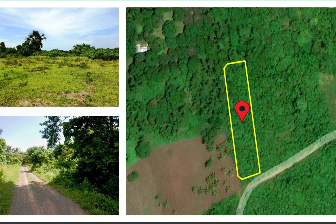 Land for Sale in Barangay Ng Mga Mangingisda, Puerto Princesa, Palawan