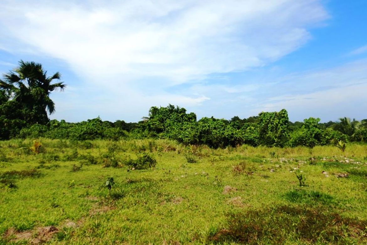 Land for Sale in Barangay Ng Mga Mangingisda, Puerto Princesa, Palawan – photo 2