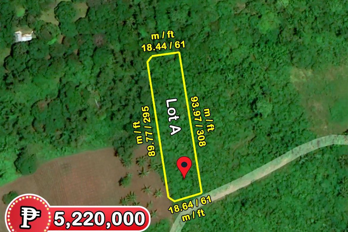 Land for Sale in Barangay Ng Mga Mangingisda, Puerto Princesa, Palawan – photo 7