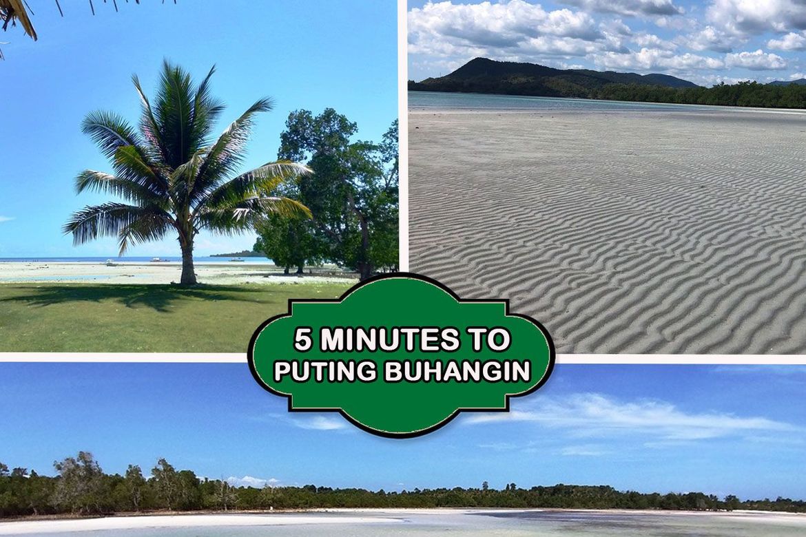 Land for Sale in Barangay Ng Mga Mangingisda, Puerto Princesa, Palawan – photo 10