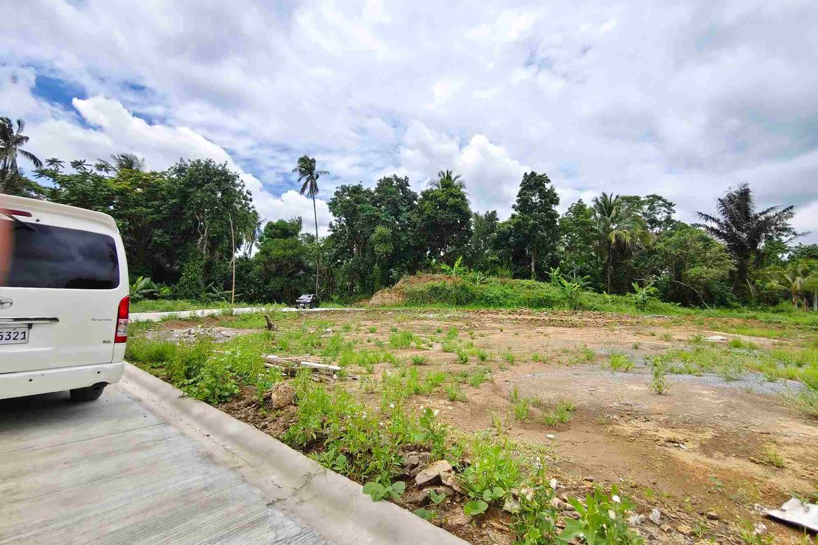 Land for Sale in Barangay V, Alfonso, Cavite