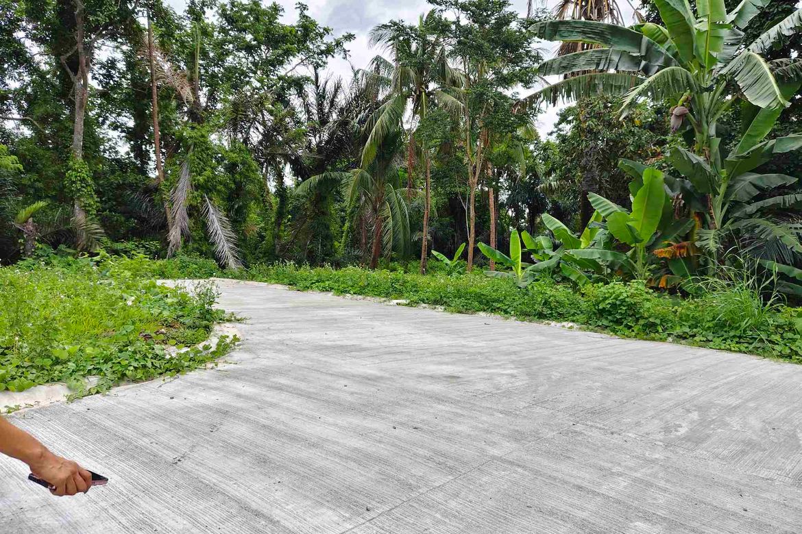 Land for Sale in Barangay V, Alfonso, Cavite – photo 3