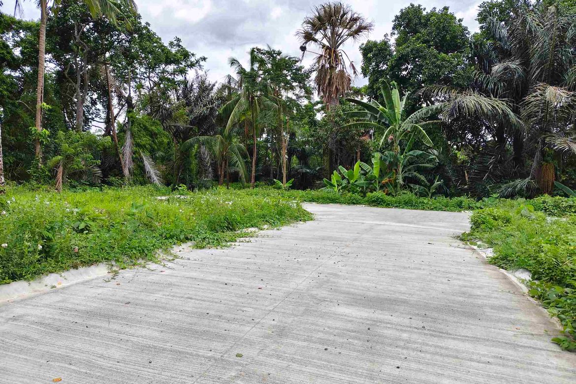Land for Sale in Barangay V, Alfonso, Cavite – photo 4