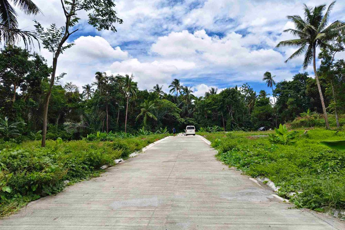 Land for Sale in Barangay V, Alfonso, Cavite – photo 5