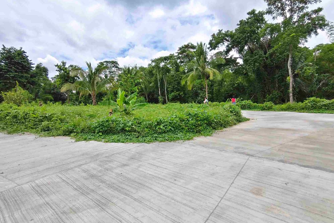 Land for Sale in Barangay V, Alfonso, Cavite – photo 6