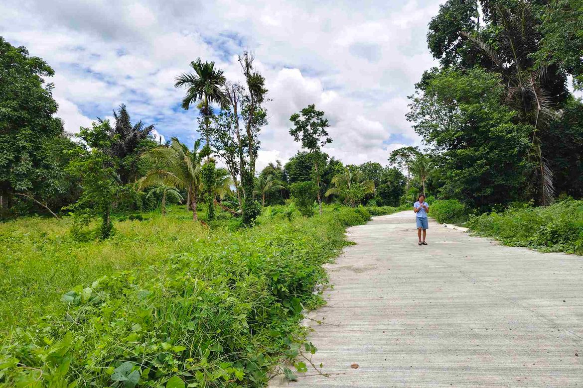 Land for Sale in Barangay V, Alfonso, Cavite – photo 7