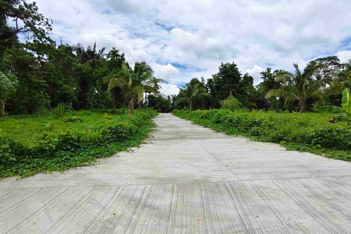 Land for Sale in Barangay V, Alfonso, Cavite – photo 8