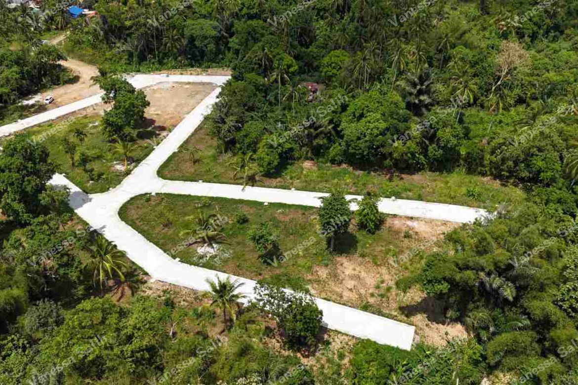 Land for Sale in Barangay V, Alfonso, Cavite – photo 2
