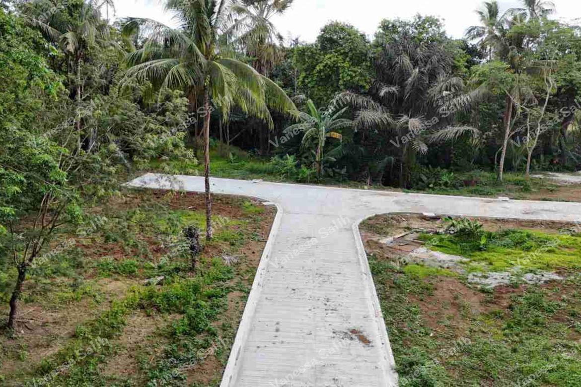 Land for Sale in Barangay V, Alfonso, Cavite – photo 3