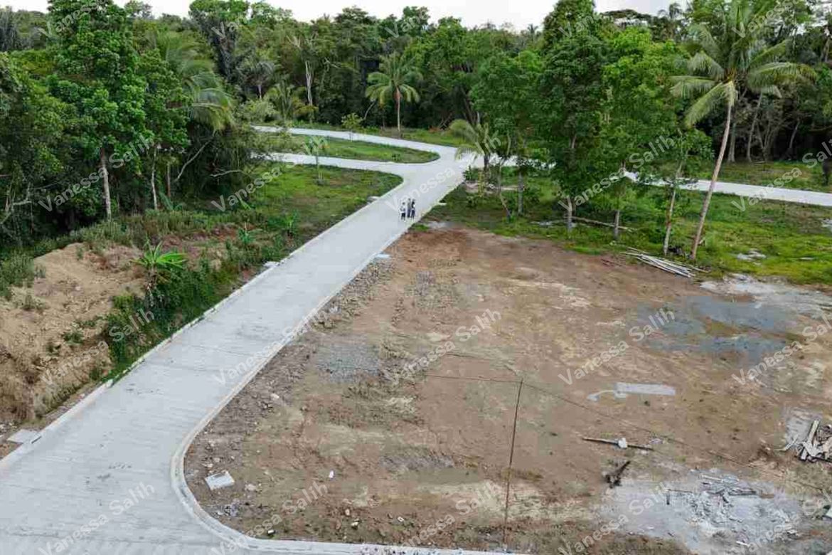 Land for Sale in Barangay V, Alfonso, Cavite – photo 6